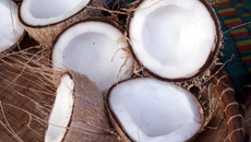 Flan coco aux épices