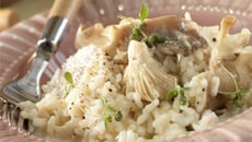 Risotto aux champignons sauvages
