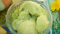 Trio gourmand vert : Sorbet à l'avocat première étape