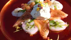 Chantilly de citron vert sur son carpaccio de saumon et de Saint Jacques