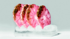 Froid choc de pamplemousse de Floride