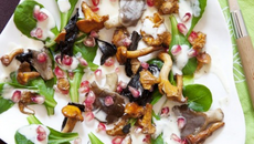 Une salade de mâche aux champignons et à la grenade.... façon tableau de peintre