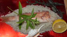 Grondin perlon en habit d'algues, croûte de sel, sauce citronnée à la verveine