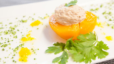 pêches au thon facile et rapide