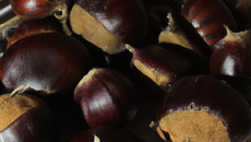 Châtaignes ardéchoises