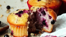 Muffins tout myrtille