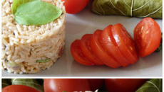 Feuille de vigne et sa garniture