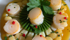 Saint jacques à la jeanne