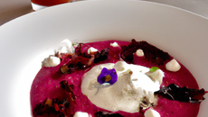 Velouté de chou rouge et sa glace au chèvre