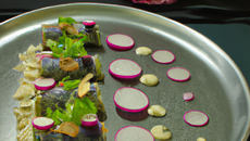 Cannelloni de radis noir et roses, salade et pesto hivernal