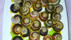 Escargot aux MM's