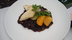 Risotto vénéré Riso Gallo cuit au bouillon de couscous et goujonnettes de Saint-Pierre