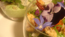 Verrine en bavarois petits pois et estragon, sablé au parmesan et olives noires, salade folle en Bleu de Gex et citron confit