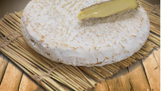 Que l'on me donne du Brie