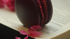 Macaron 'hibiscus, kewra, tonka'