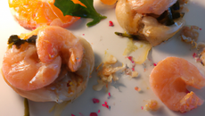 Paupiette de la mer à la clémentine