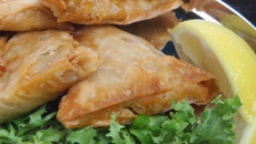 Bricks au poulet et citron confit