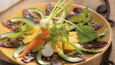 Carpaccio de magret de canard lafitte et sa salade fraîche