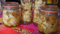 Champignons en conserves