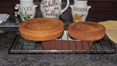 Biscuit pour réaliser un gâteau ou pièce montée