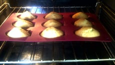 Madeleines au miel maison