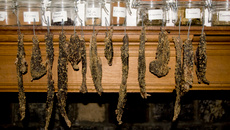 Biltong