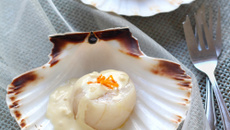 Saint-Jacques juste rôties au four combiné vapeur, sauce à l'orange