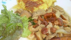 Fricot de champignons Vosgiens