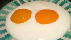 Dessert d'abricots façon œufs au plat