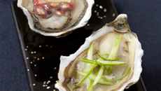 Duo coloré d'huîtres Arcachon Cap-Ferret