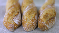 Baguettes au levain liquide