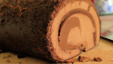 Bûche au chocolat classique