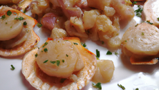 Coquilles au thon