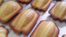 Madeleines sans beurre