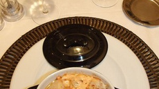 Cocotte de Saint-Jacques