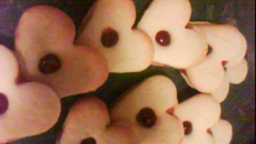 Pâte sablée vanillée