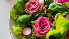 Salade rose et verte