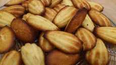 Madeleines légères