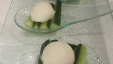 Tzatziki moléculaire