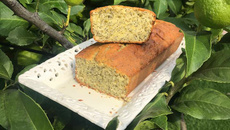 Cake au citron et pavot bleu