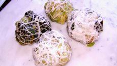 Choux farcis individuels