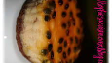 Cheesecake de patidou à la vanille et aux fruits de la passion