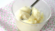 Glace au chocolat blanc (sans œuf, sans sucre ajouté)