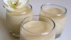 Panna cotta abriconcoctée
