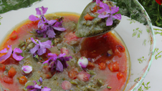 Vinaigrette aux coquelicots
