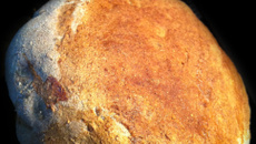 Pic'Nik Mexican Buns !