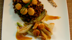 Salade de lentillons de champagne coquilles saint jacques nippones