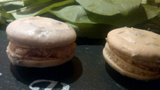 Macaron oseille foie gras