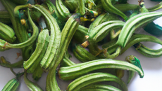 Hachis vert de l'été