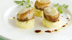 Purée noisettée et ses Saint-Jacques